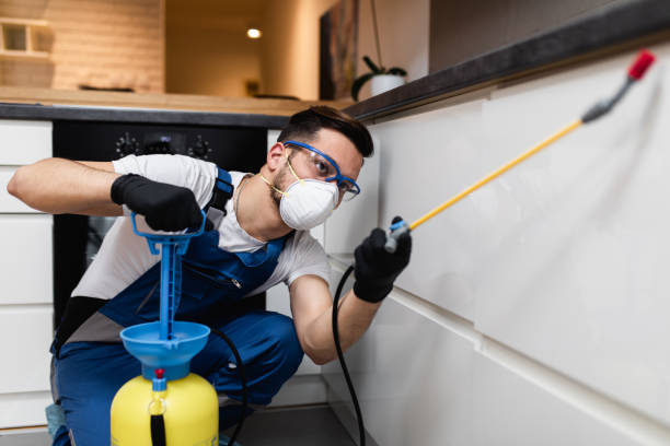Pest Prevention Services in Centerton, AR