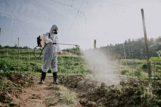 Best Best Pest Control Companies  in Centerton, AR