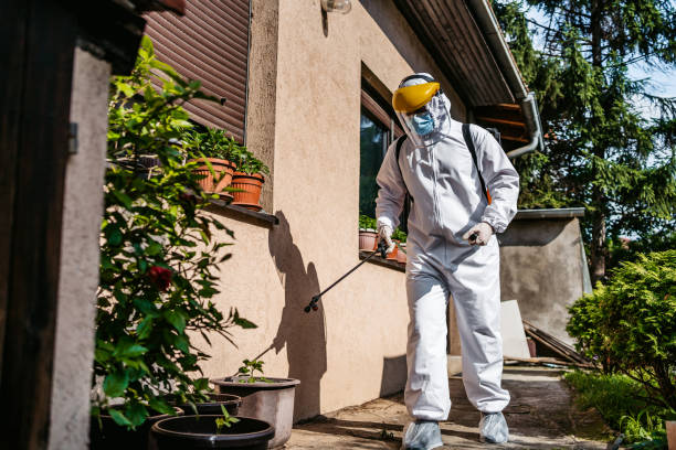 Best Flea Control Services  in Centerton, AR