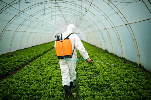 Best Mosquito Control Services  in Centerton, AR