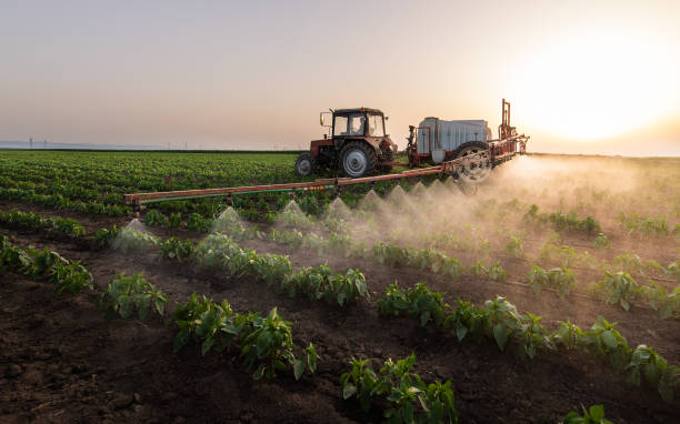 Best Pest Control for Restaurants  in Centerton, AR