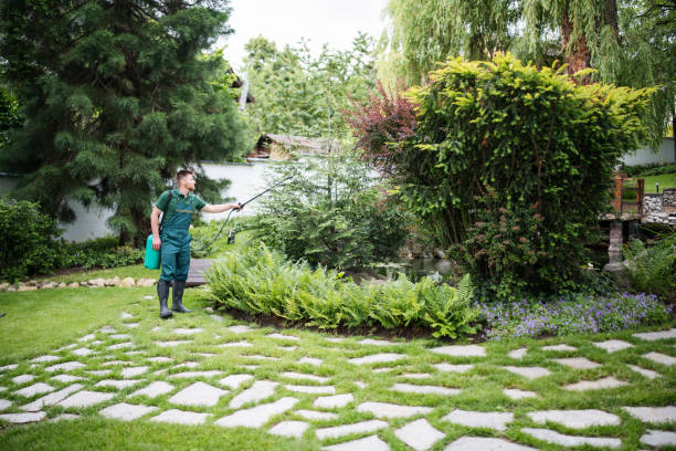 Best Pest Removal Services  in Centerton, AR