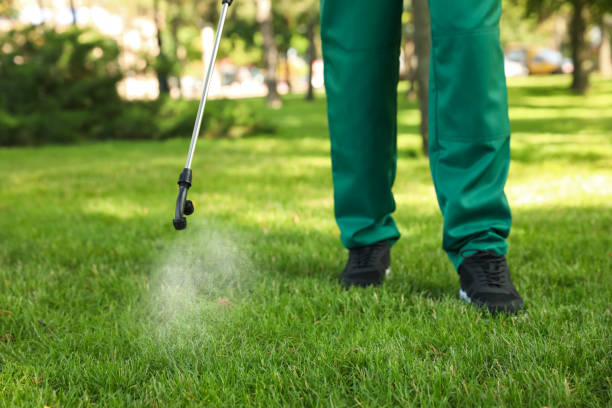 Best Wasp Removal Services  in Centerton, AR
