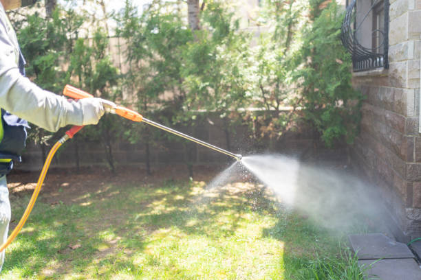 Best Residential Pest Control  in Centerton, AR