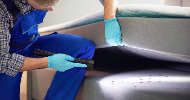 Best Termite Control Services  in Centerton, AR