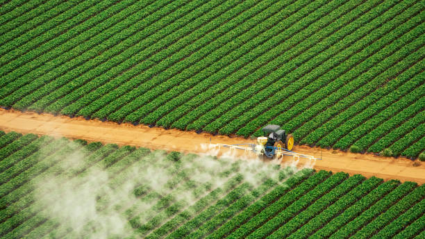Best Pest Removal Services  in Centerton, AR