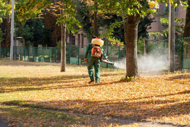 Reliable Centerton, AR Pest Control Solutions