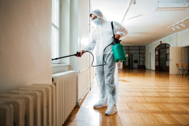Flea Control Services in Centerton, AR