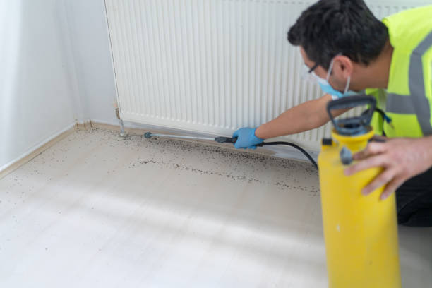 Best Pest Control Cost  in Centerton, AR