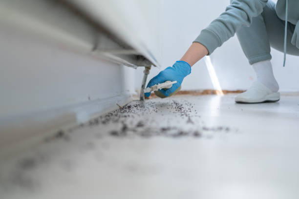 Best Affordable Pest Control Services  in Centerton, AR