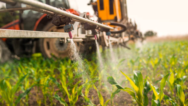 Best Ant Control Services  in Centerton, AR